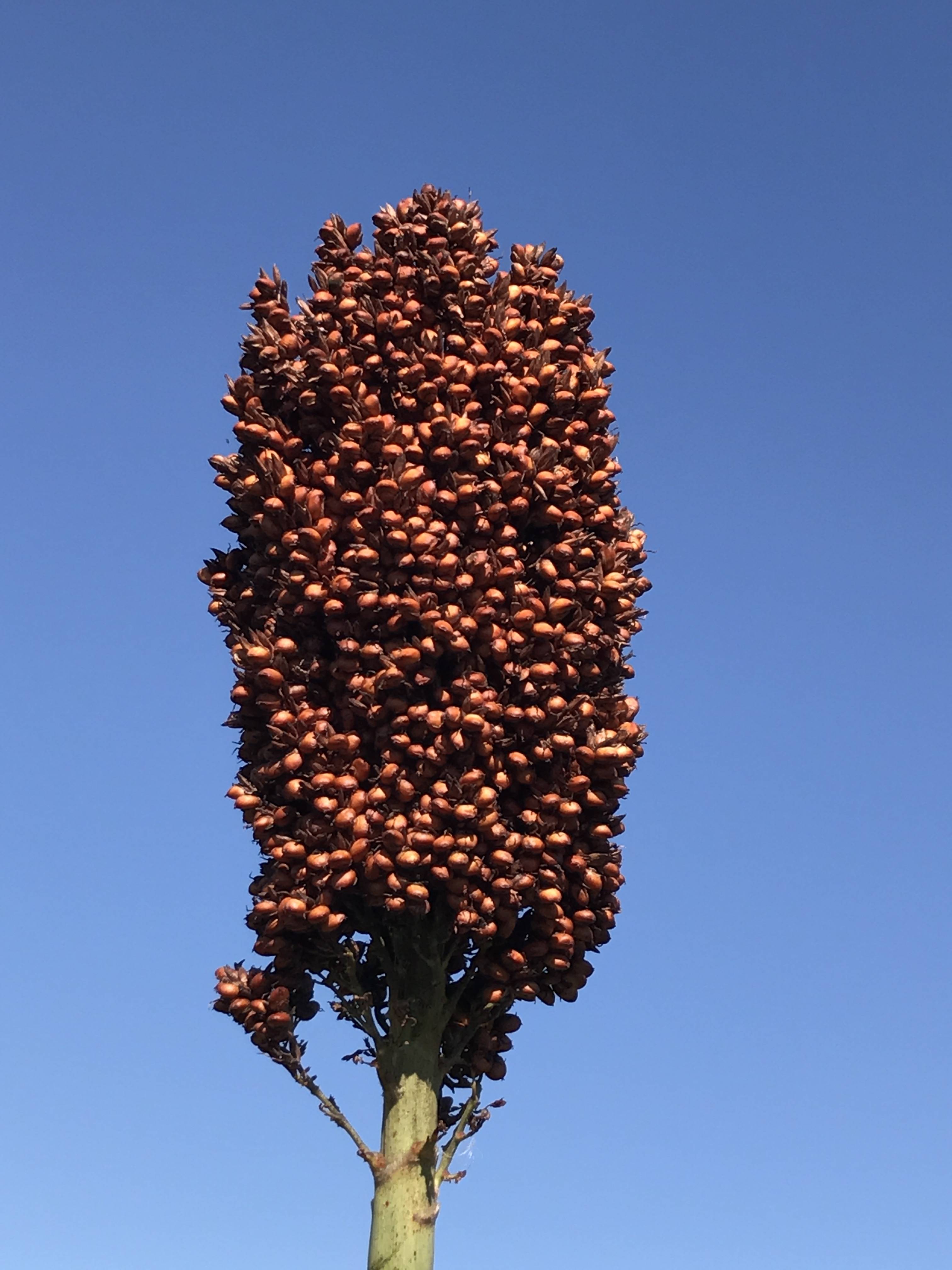 数据库中未找到相应图片