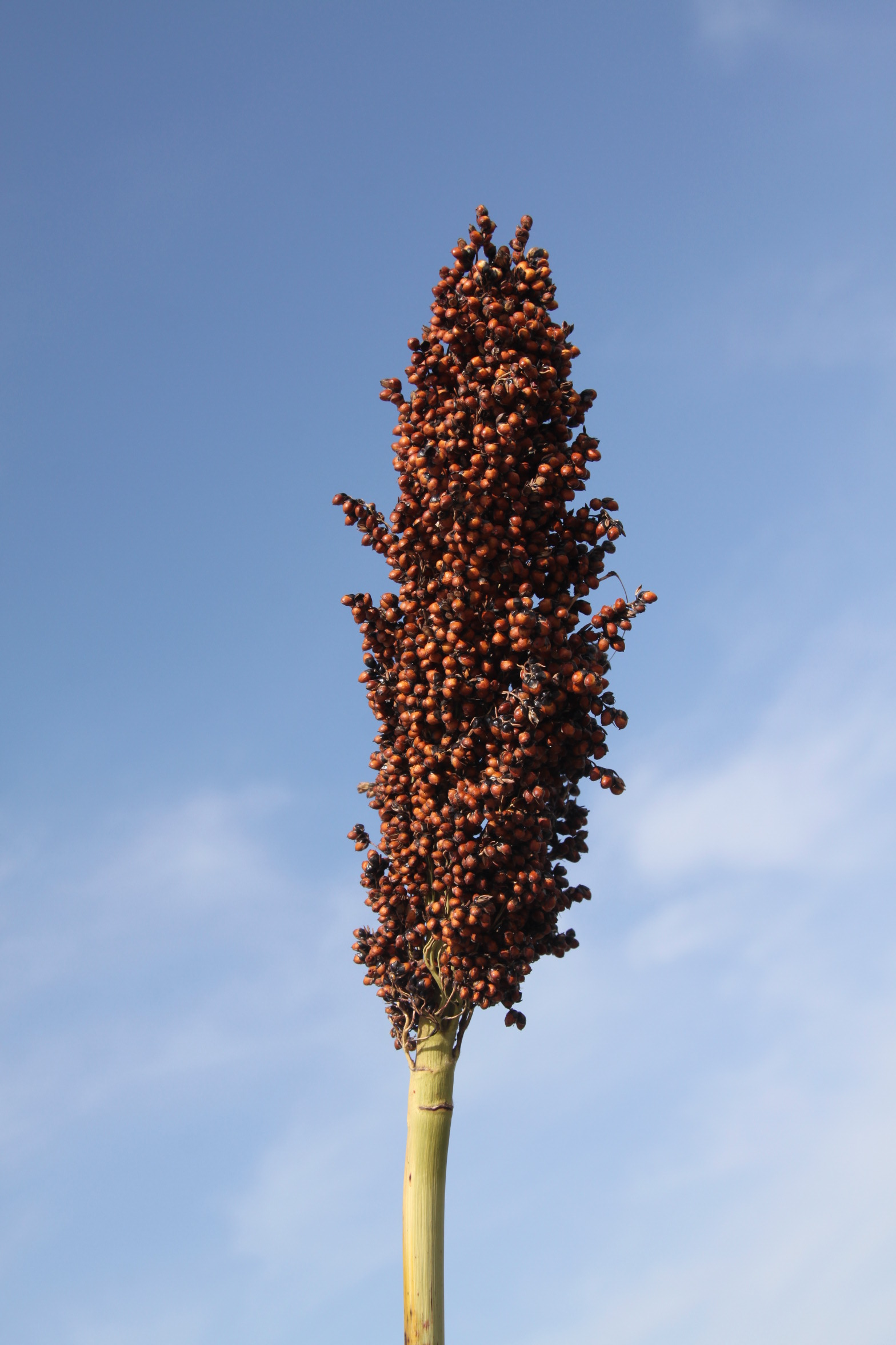 数据库中未找到相应图片