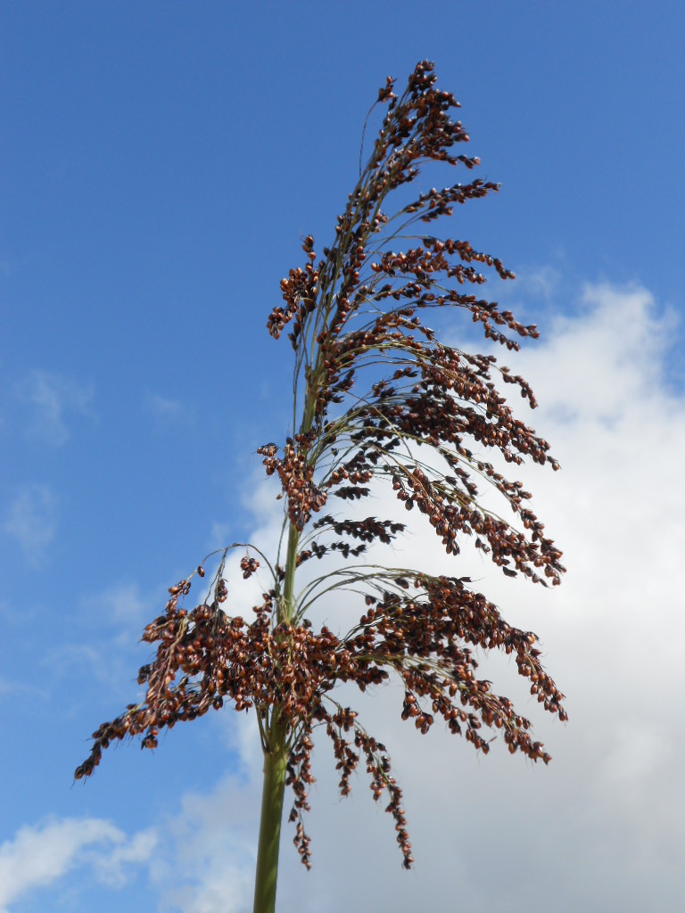 数据库中未找到相应图片