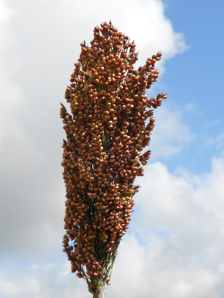 数据库中未找到相应图片