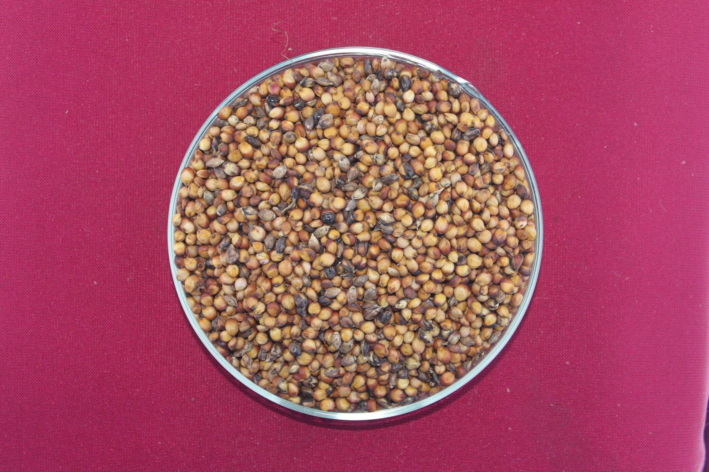 数据库中未找到相应图片