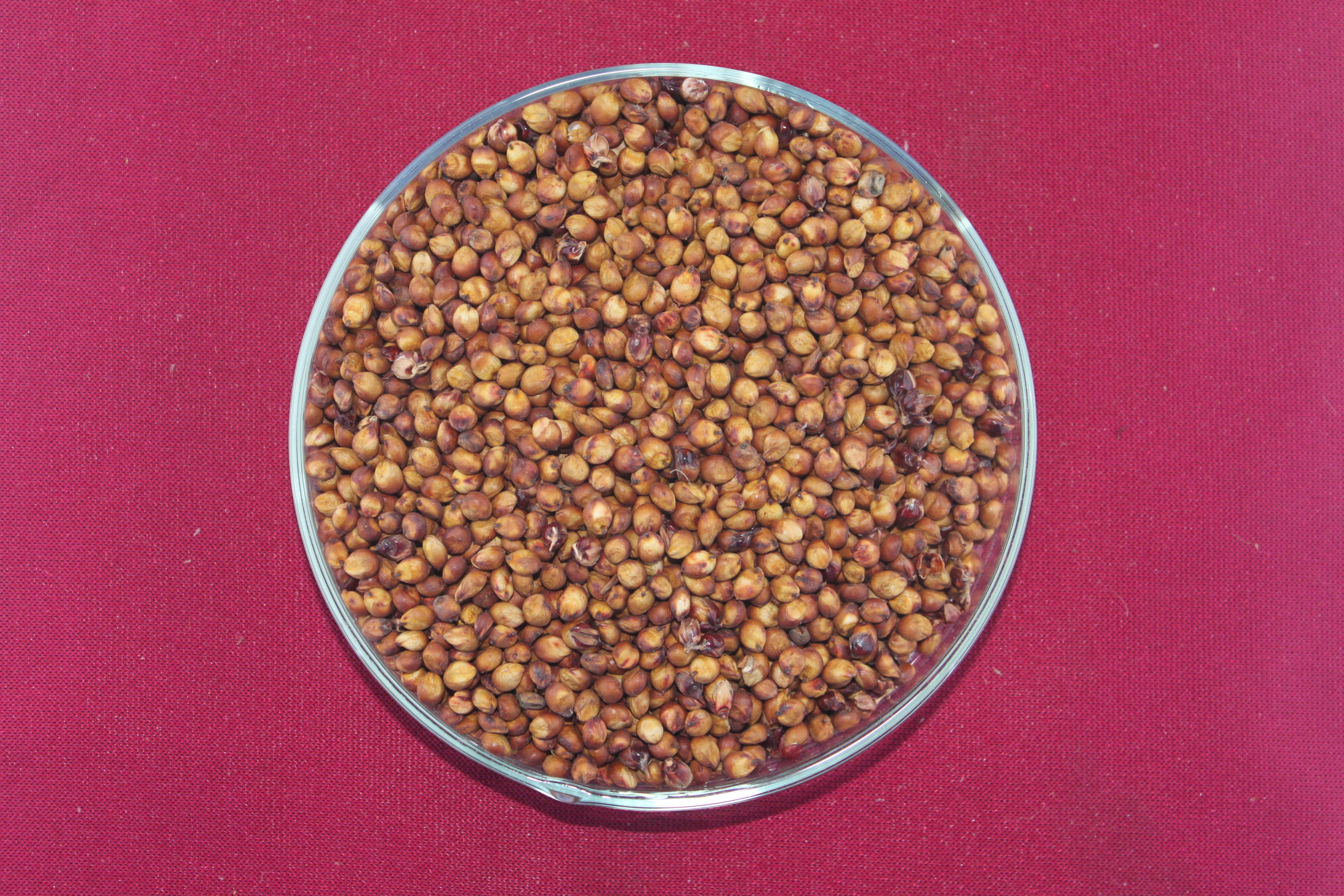 数据库中未找到相应图片