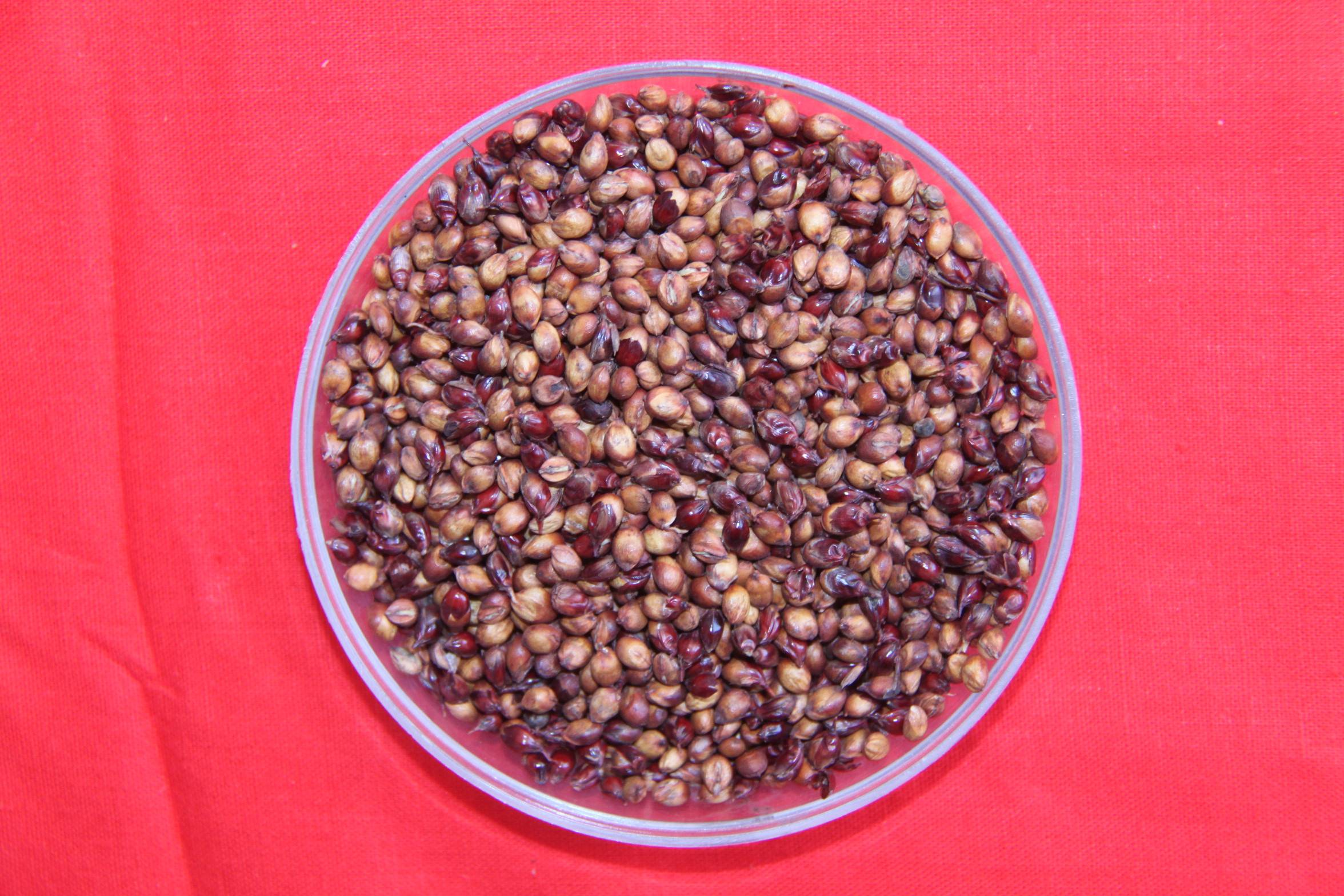 数据库中未找到相应图片