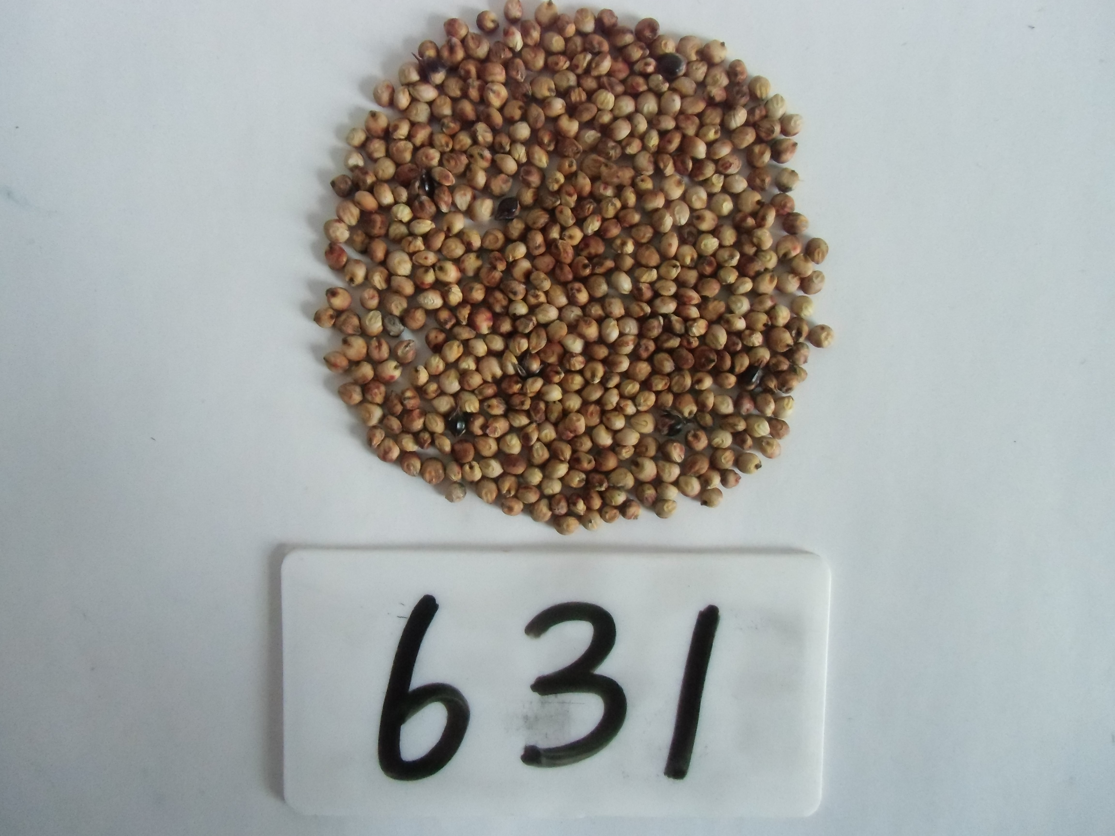 数据库中未找到相应图片