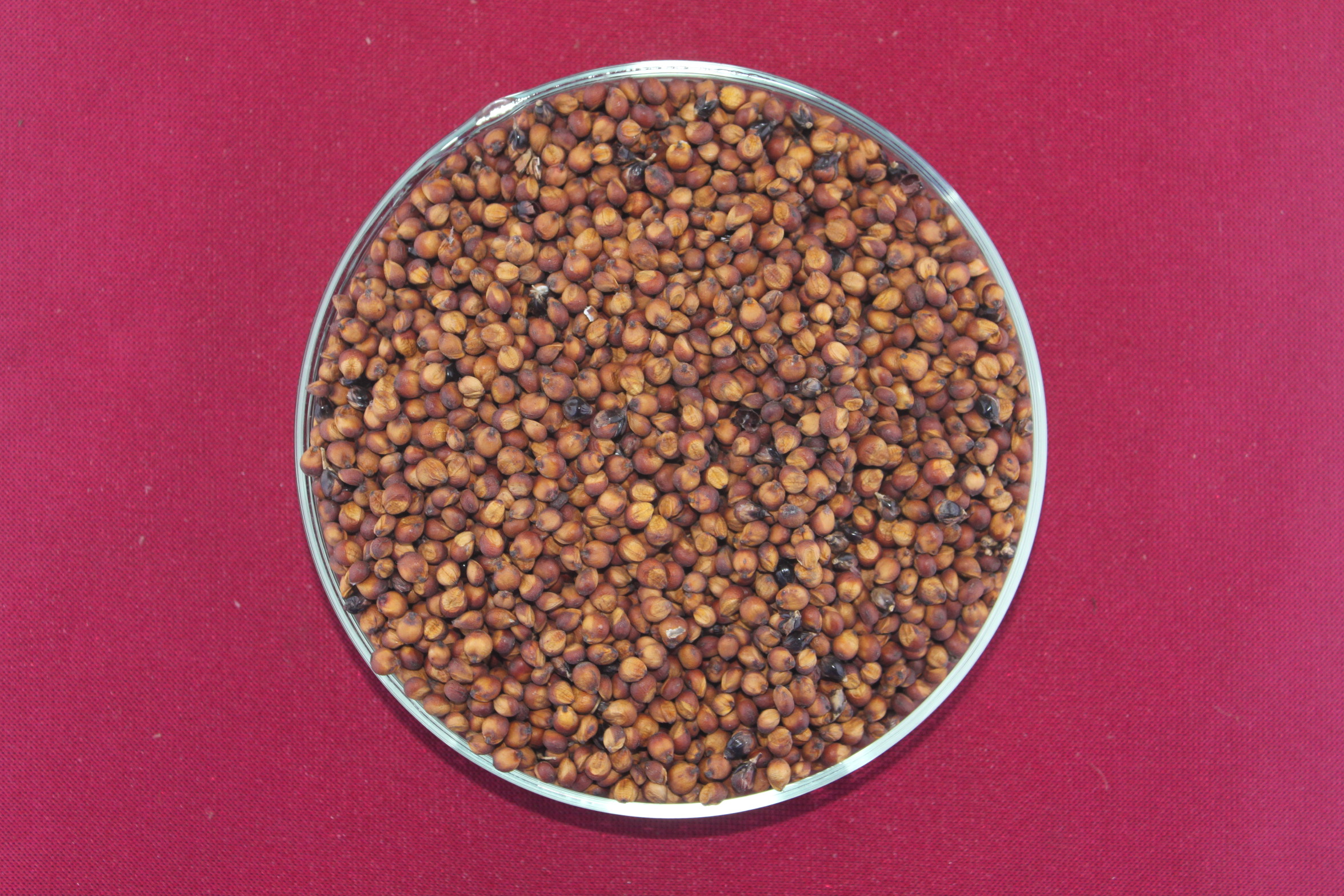 数据库中未找到相应图片