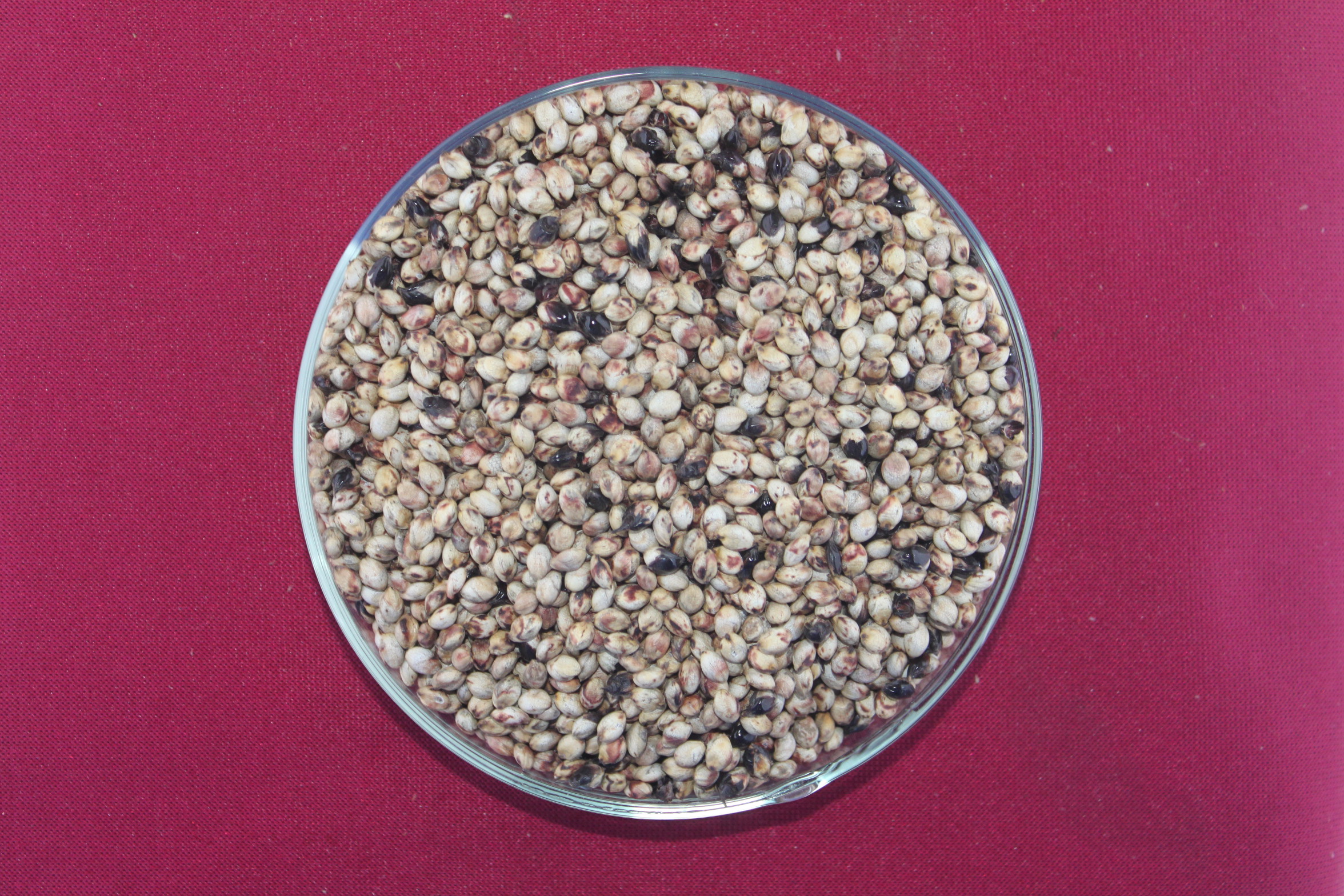 数据库中未找到相应图片