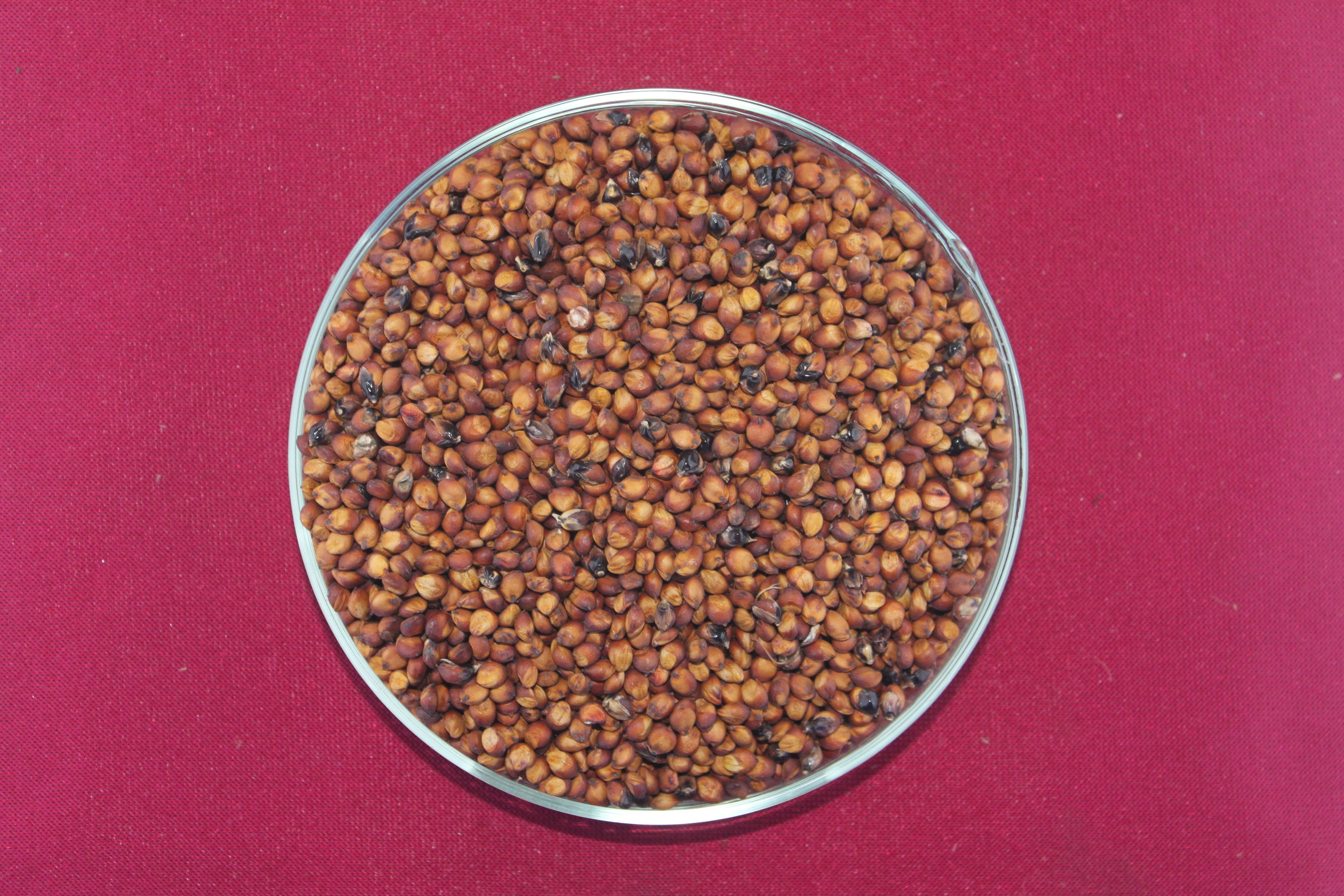 数据库中未找到相应图片