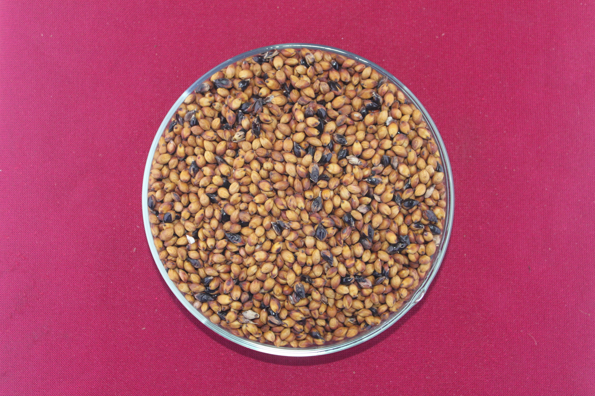 数据库中未找到相应图片