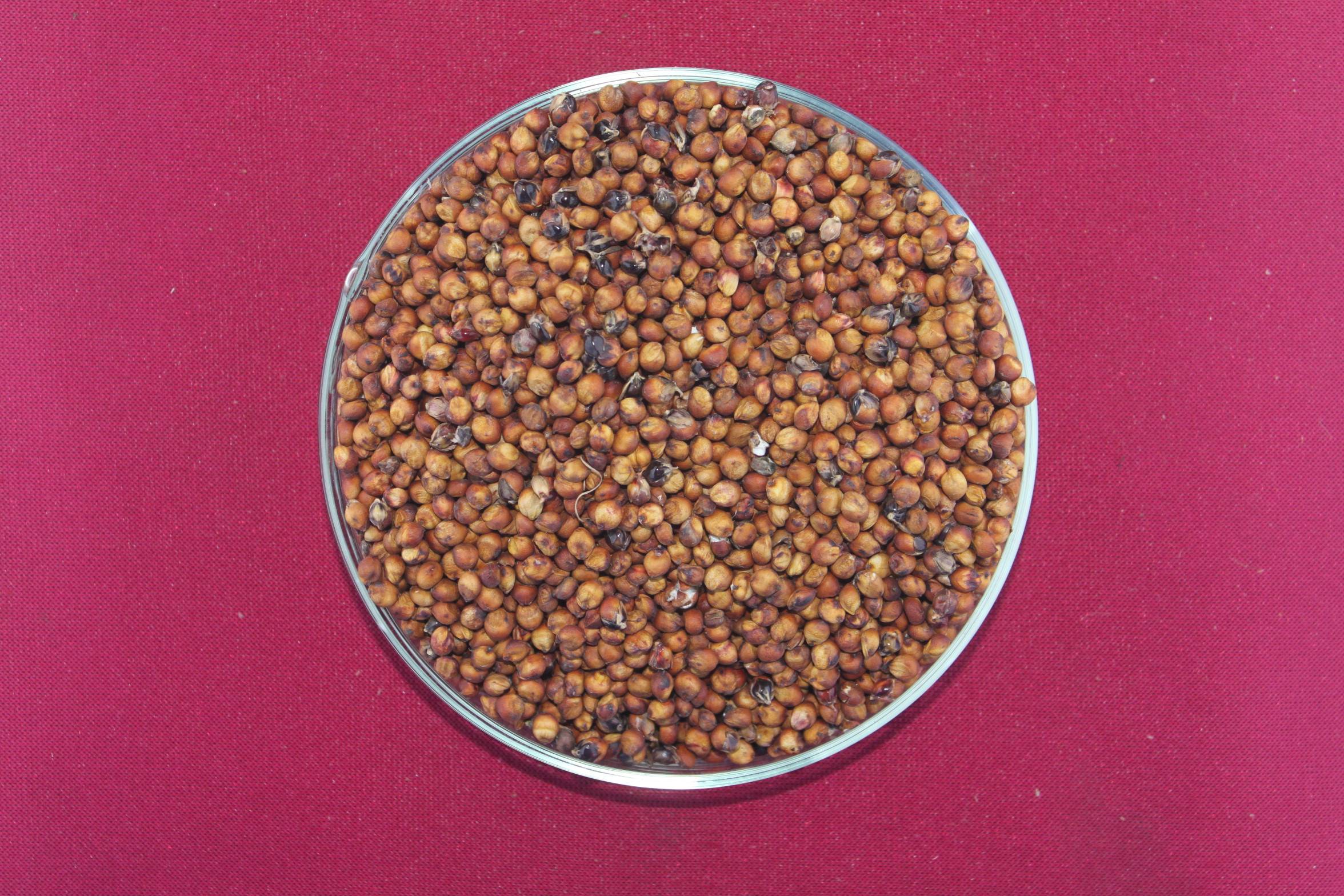 数据库中未找到相应图片