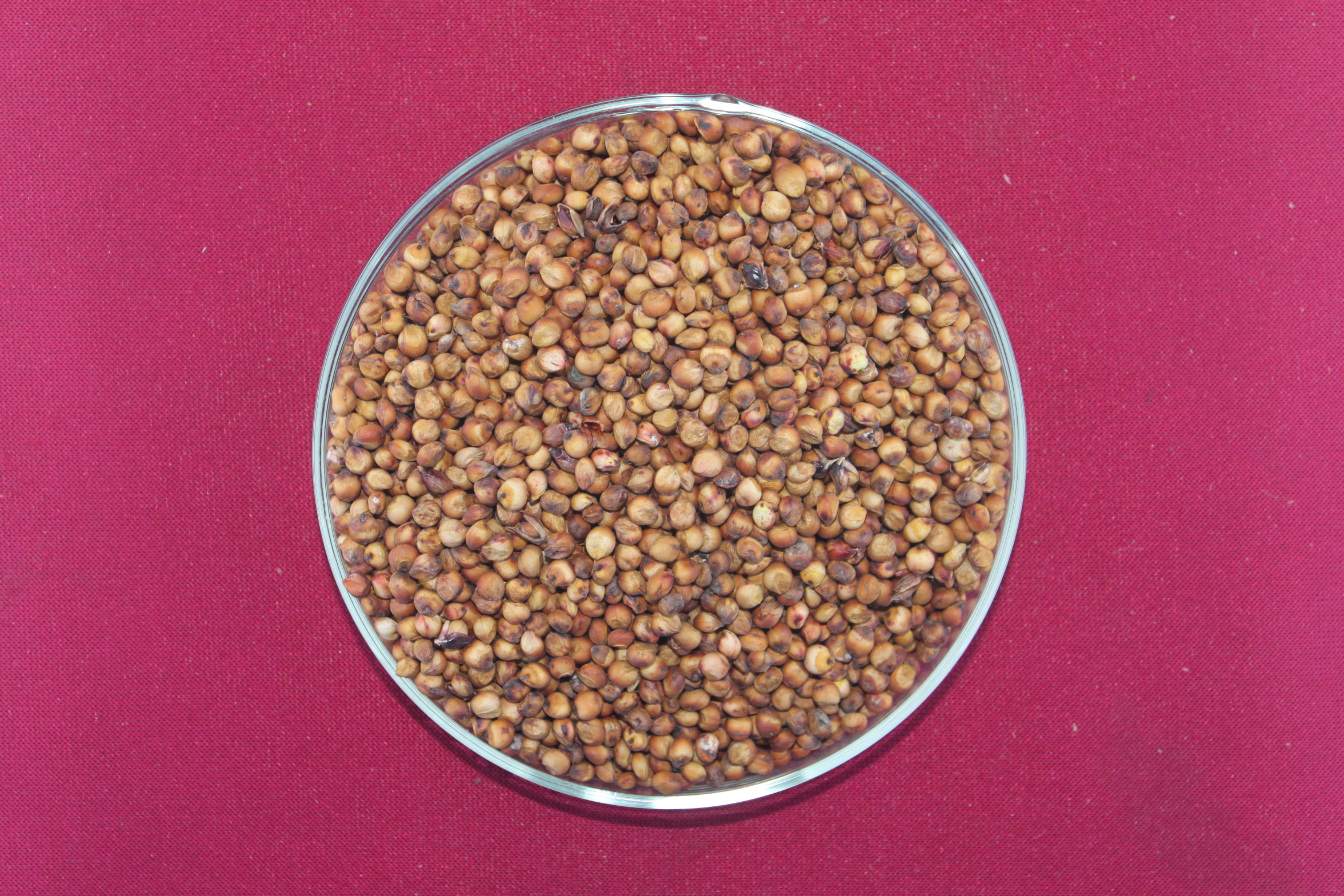 数据库中未找到相应图片