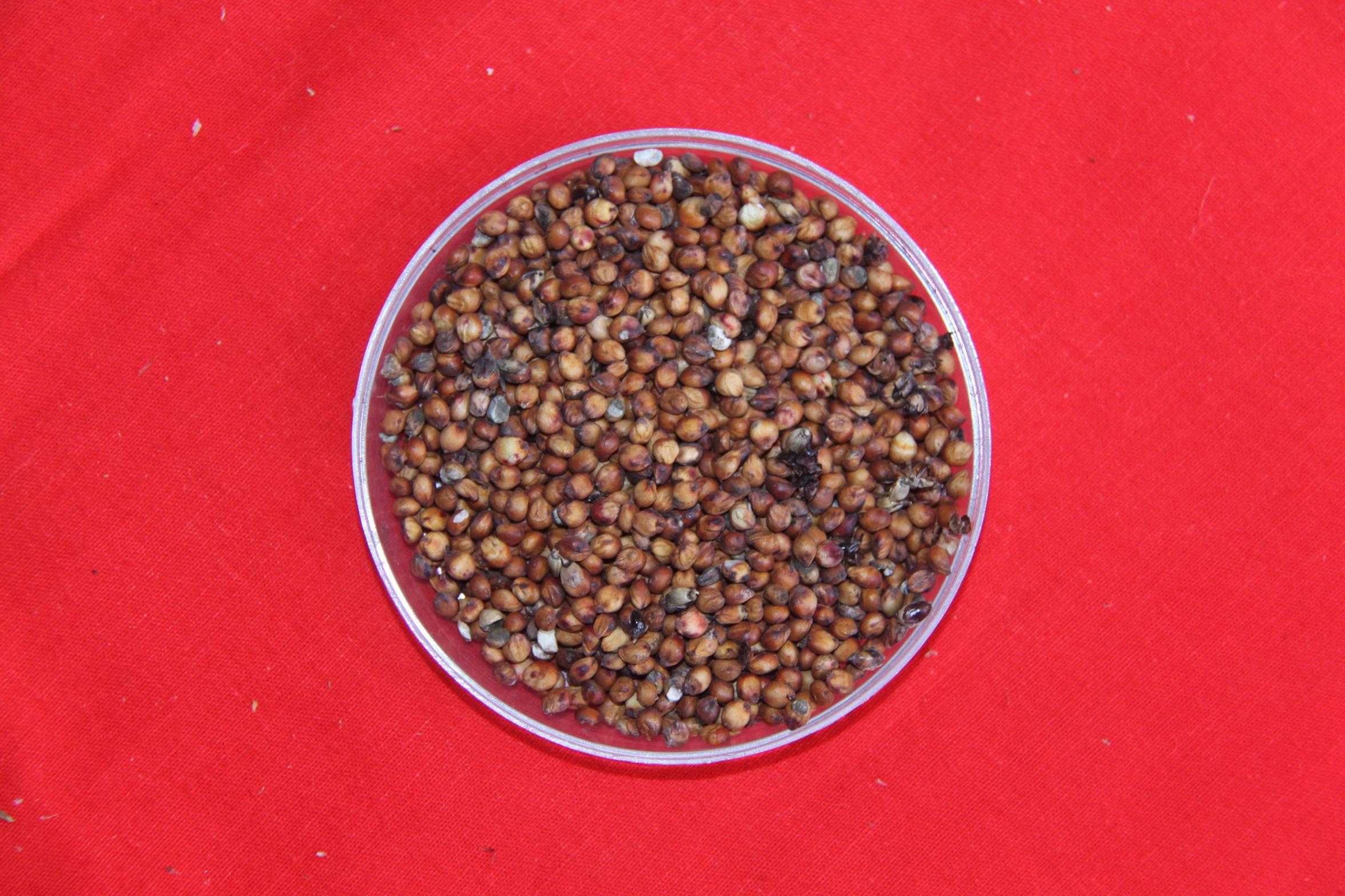 数据库中未找到相应图片